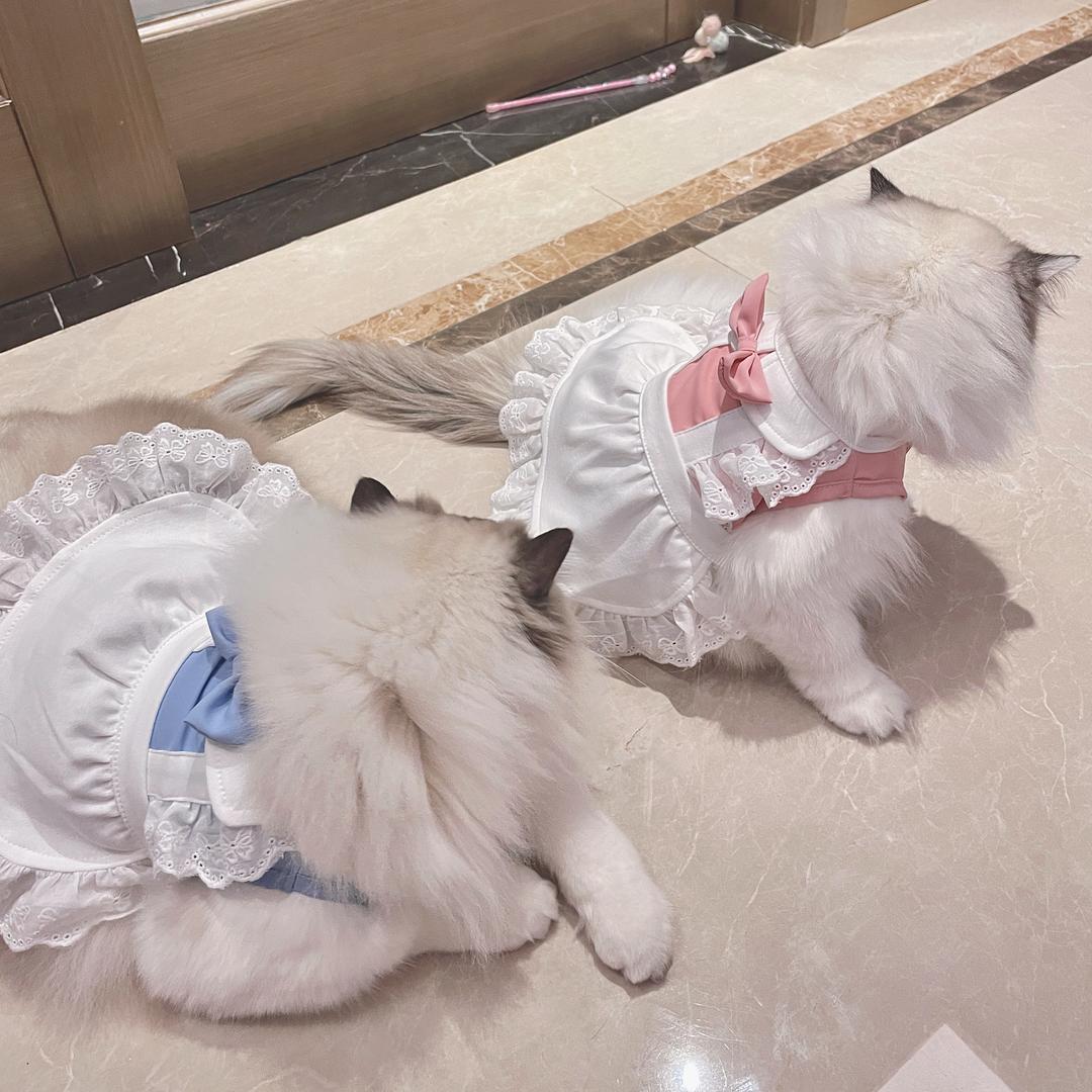 小惊喜呀