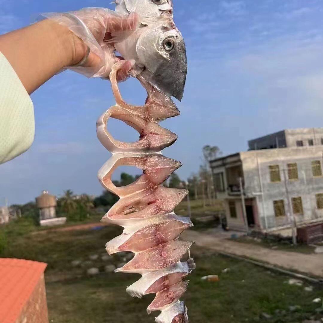 湛江顶旗海鲜干货