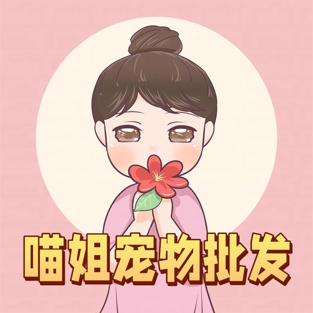 咕得咪宠物批发基地 大淼