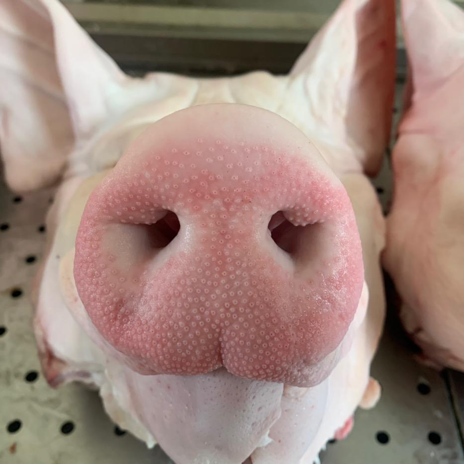 百年崔记（食来运转）