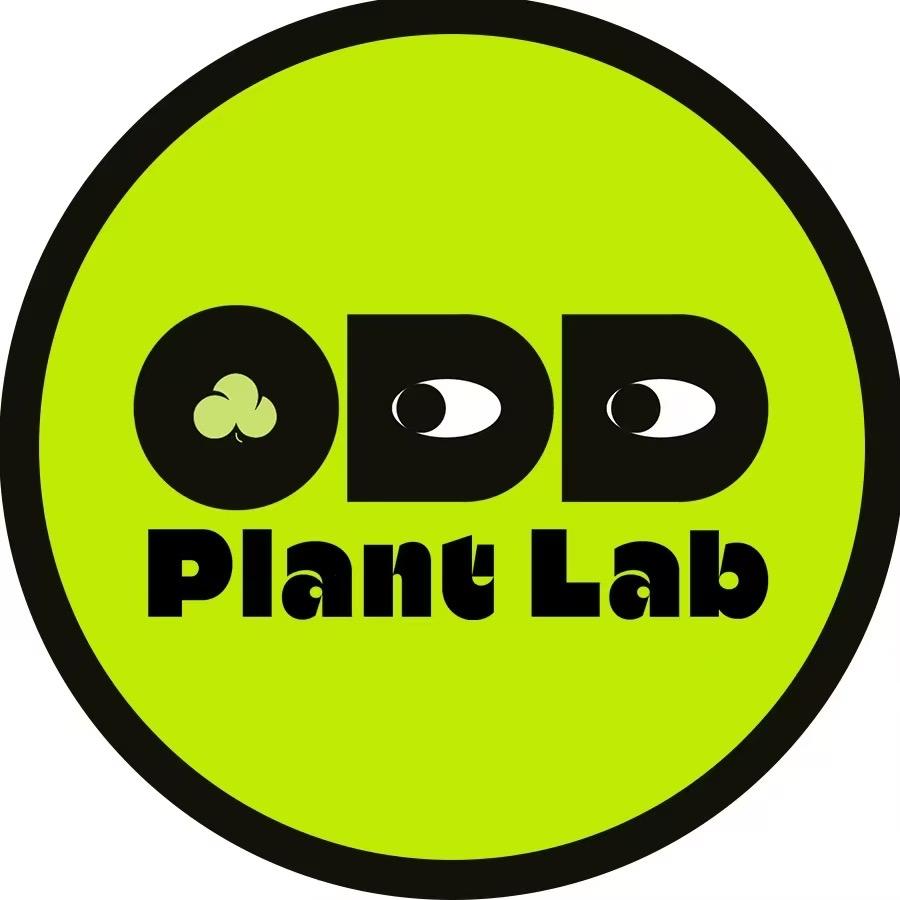 奇怪植物研究所