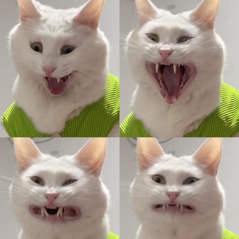 身体健康钱从四面八方来来来