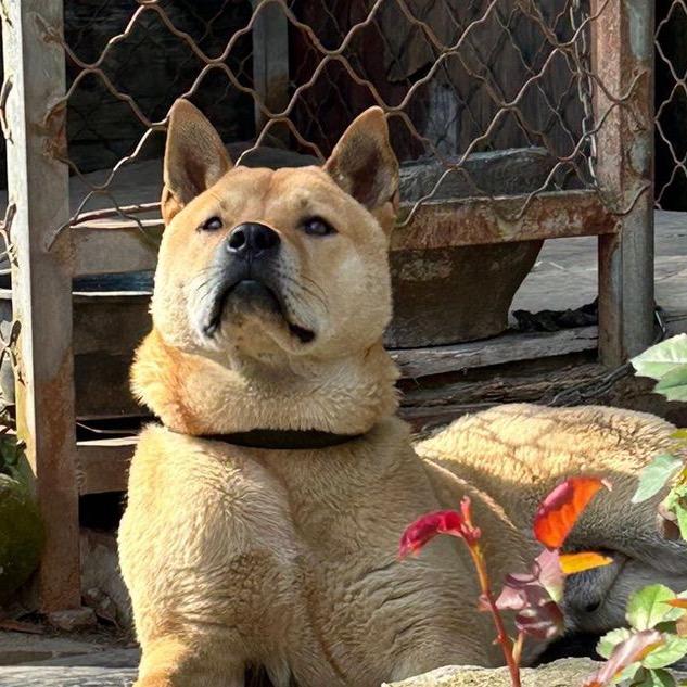 顶峰相见↝浙🐕