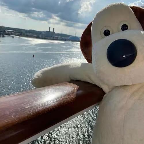 ㅤ︋︋︋︋︋   ㅤㅤ