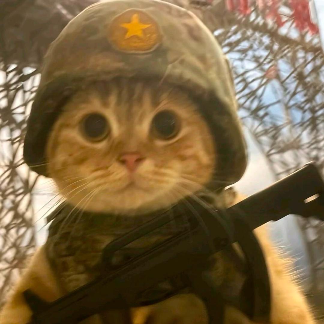 王舜杰