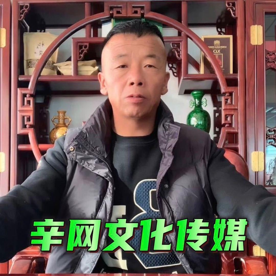 辛网传媒