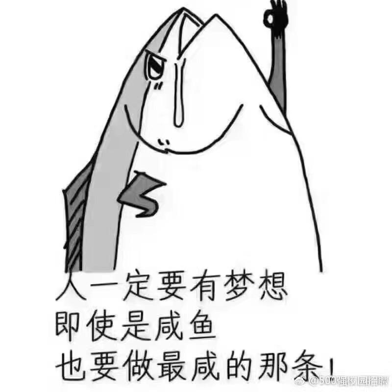 一条咸鱼