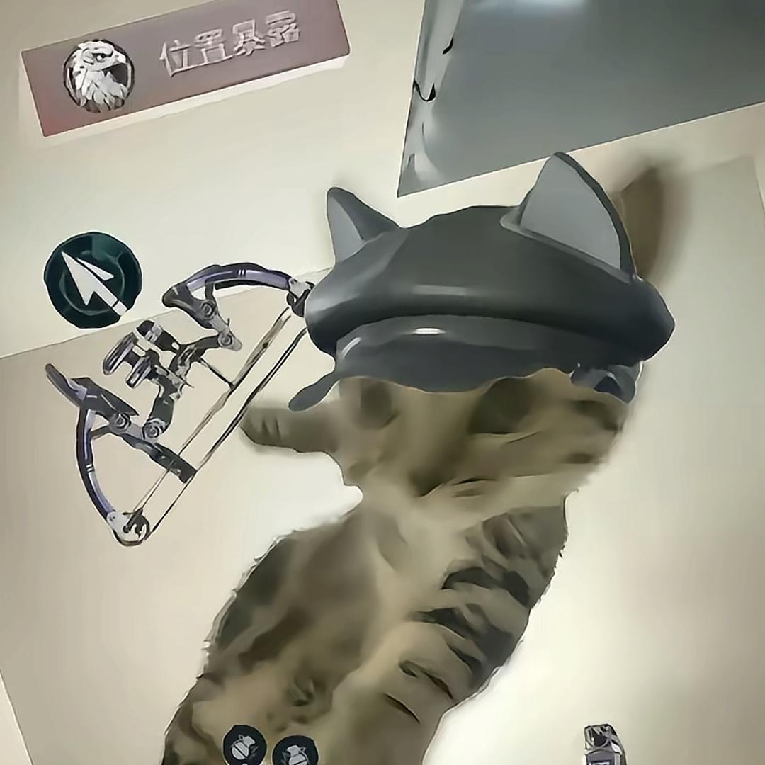 猪精这一块./