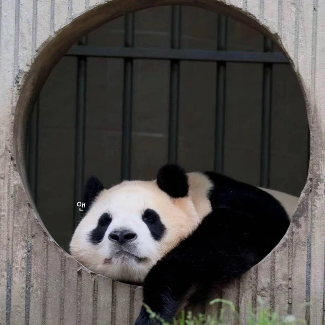 🌈🌈🌈天选打工任小姐头像