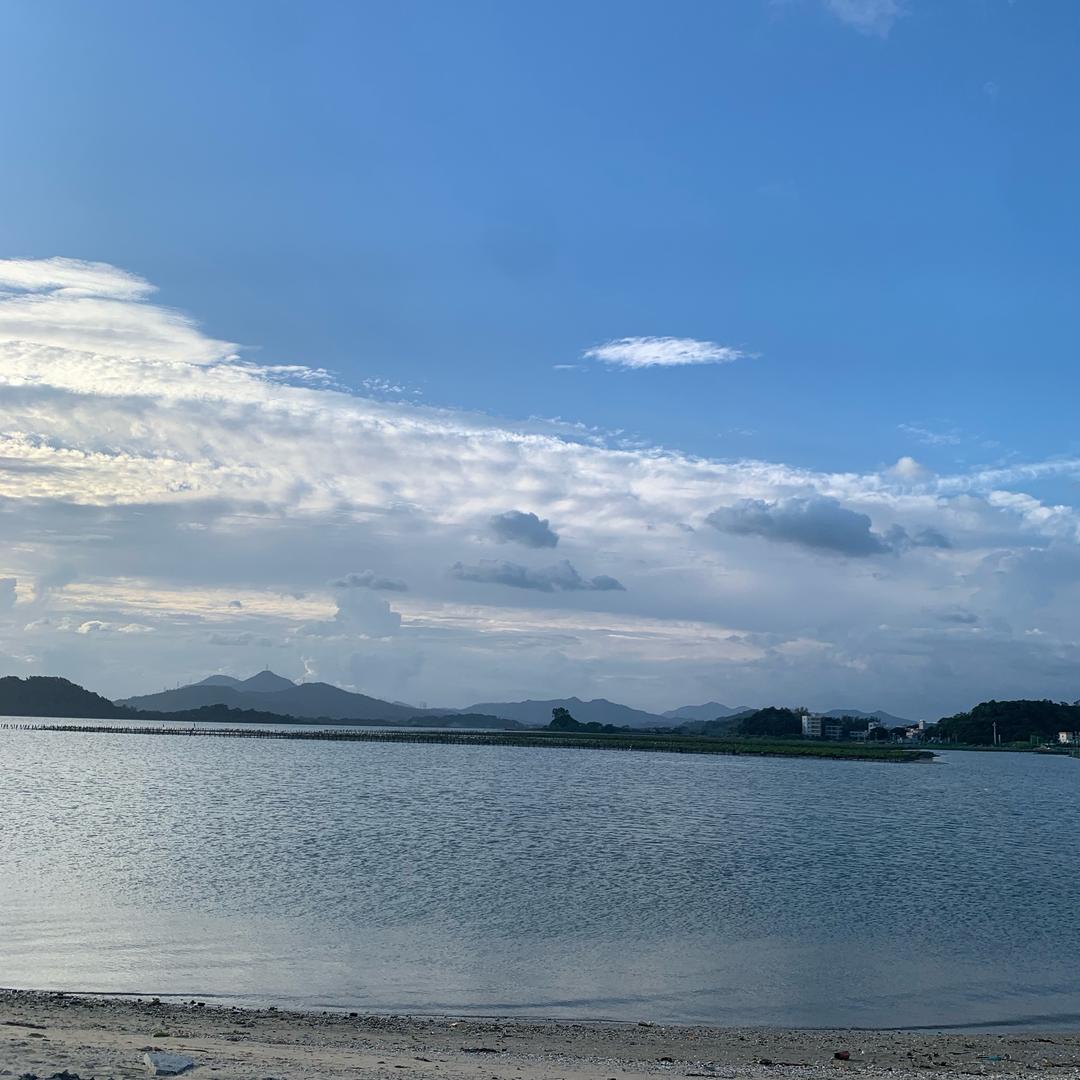 陈家二小姐