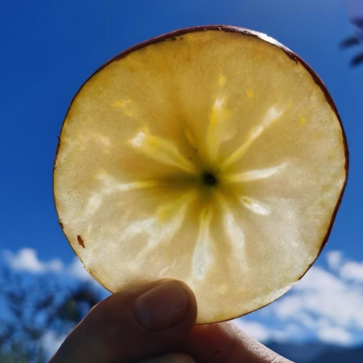 御膳果品