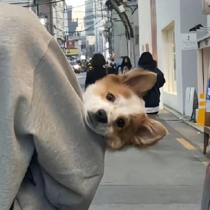 苏打水