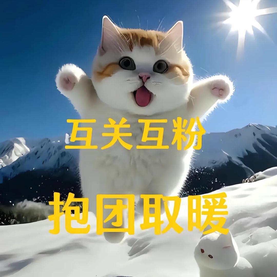 皮蛋SOLO粥🫕