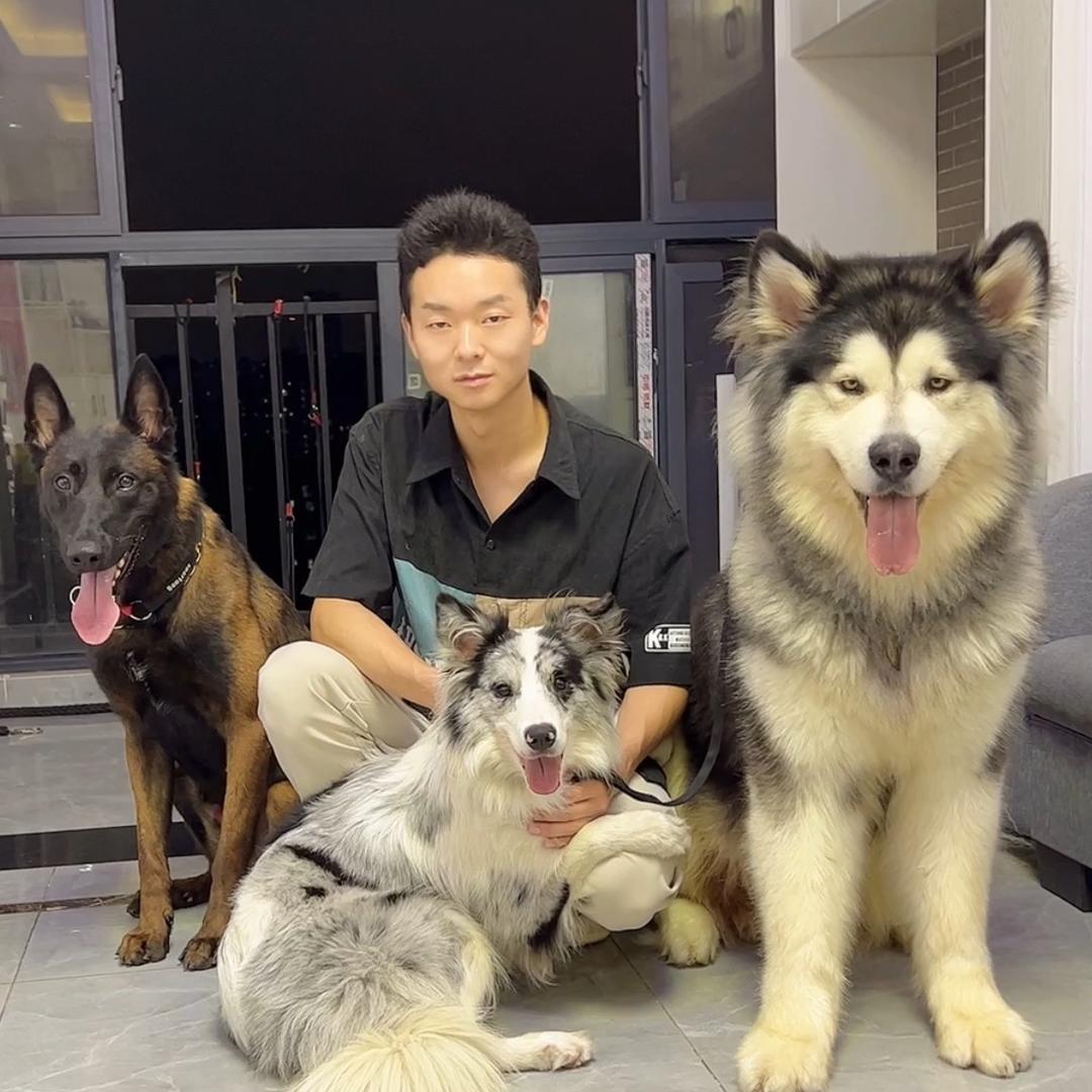 武汉春天训犬寄养乐园