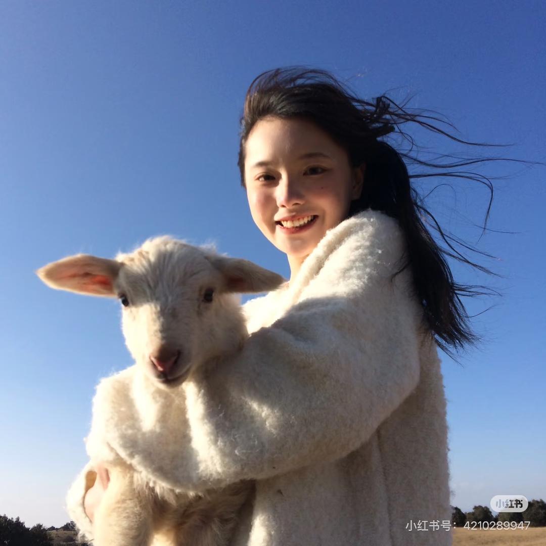 爱🐑的柚子