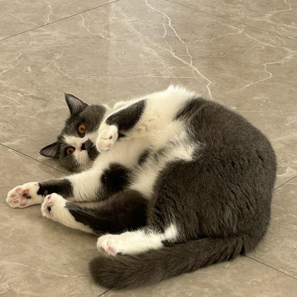 许开心＾V＾