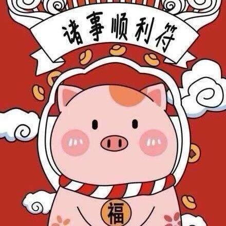 🐷兔🐰
