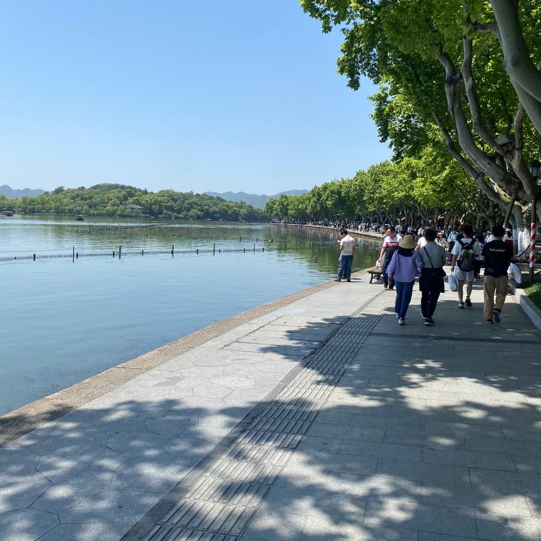 用一江春水向东流