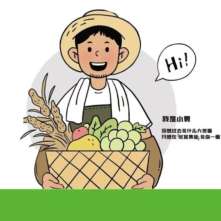 优客果业（泰华城店）