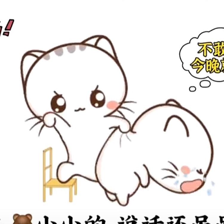 地球最强陈老板