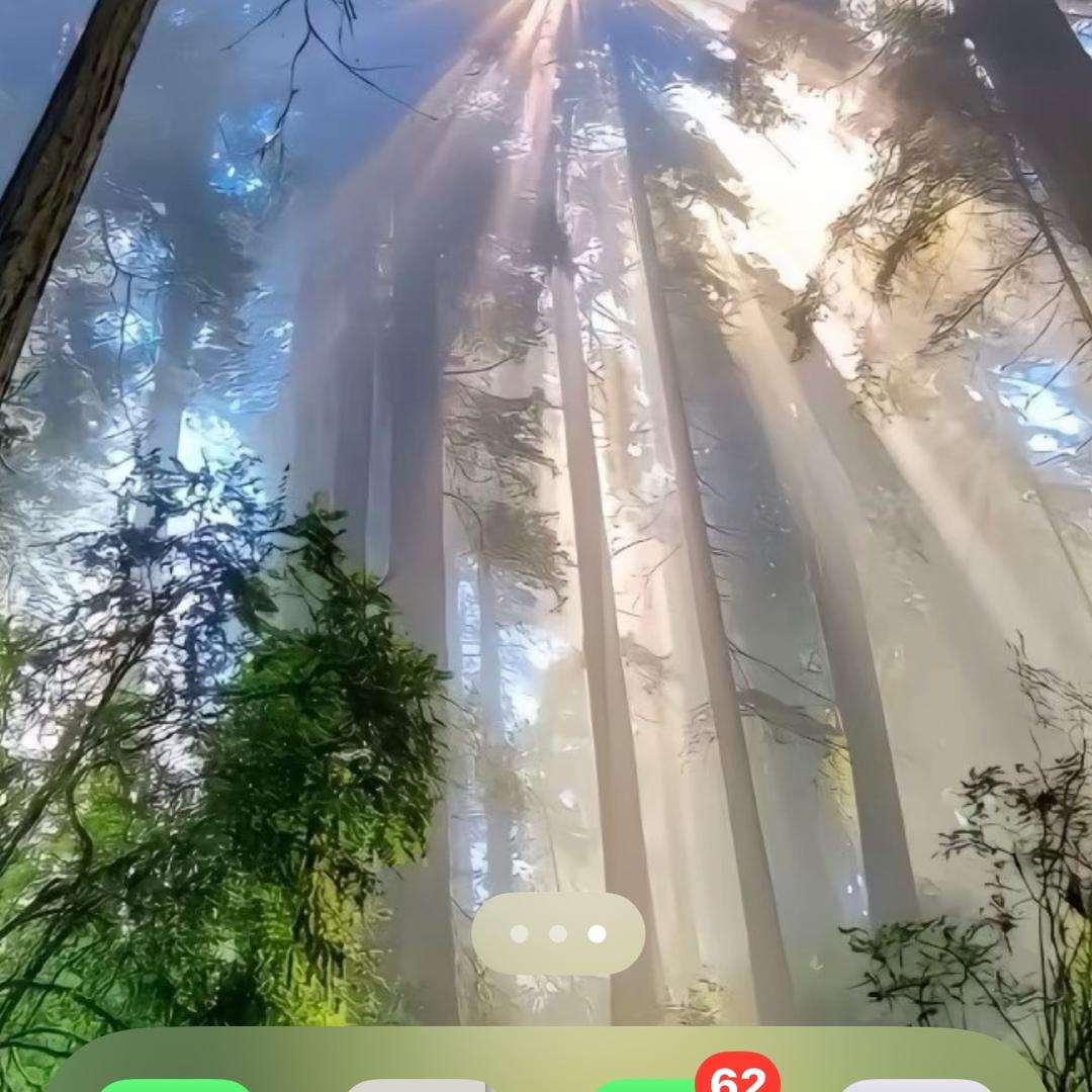 影