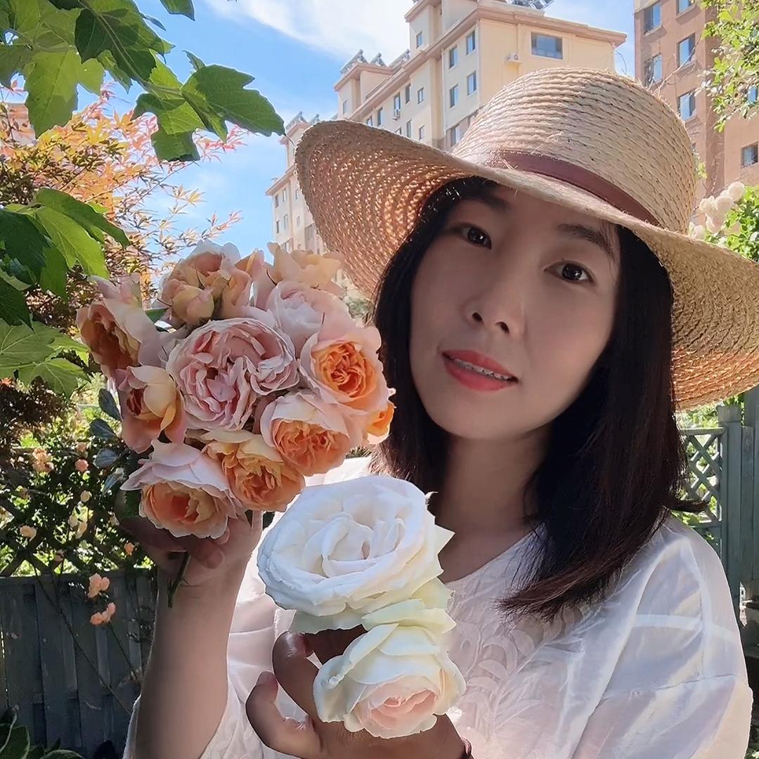 微微的花草世界@抖音