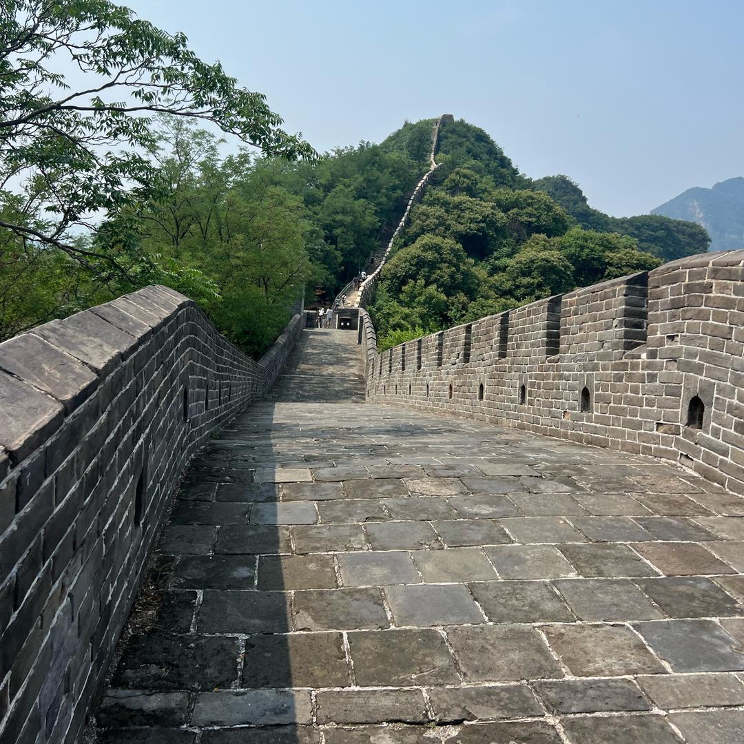 WangYu