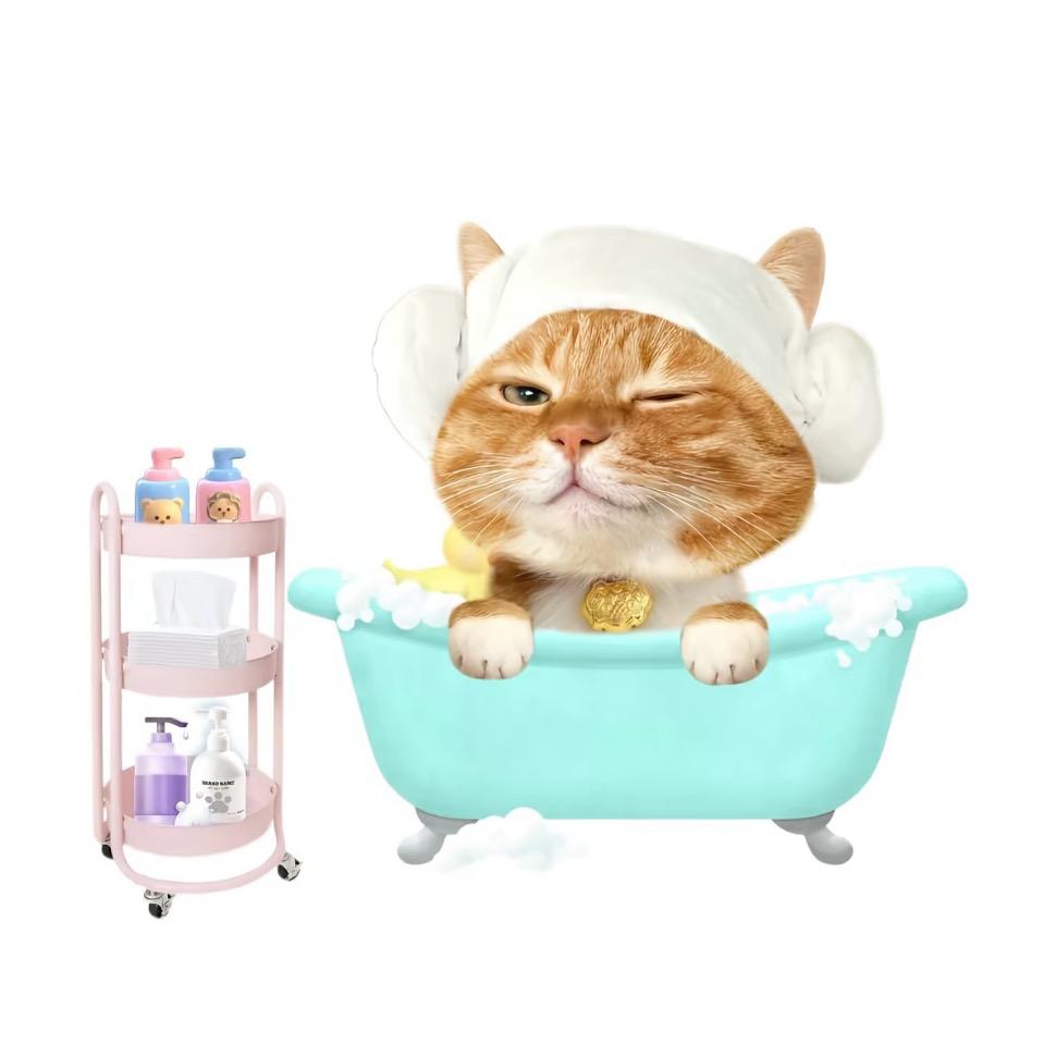 姜小牙