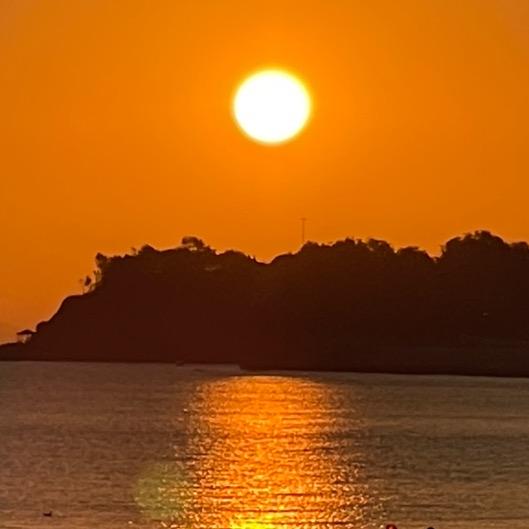 沉迷躺平的悠闲鸡米花