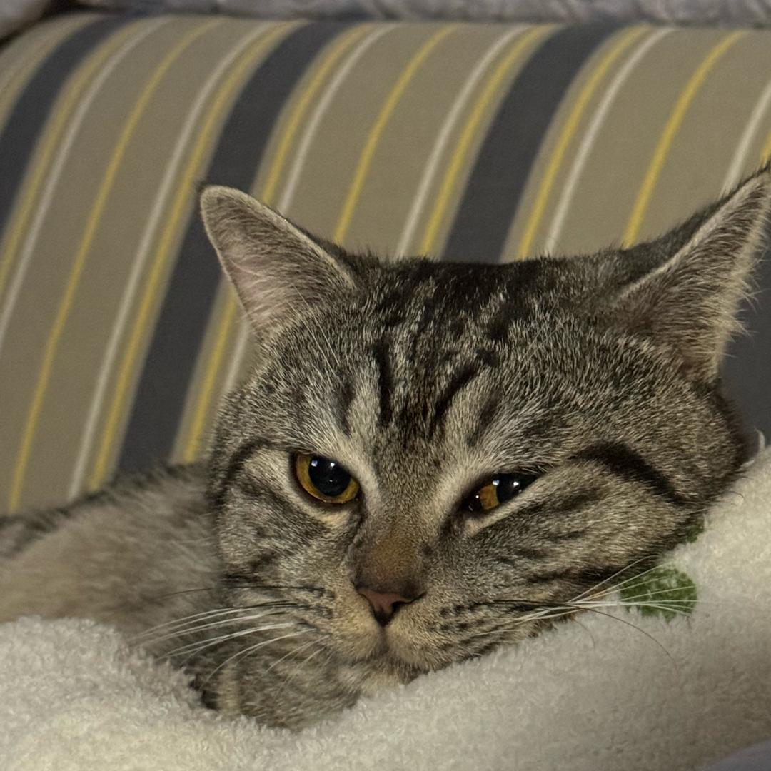 零零零🧚🏻‍♀️