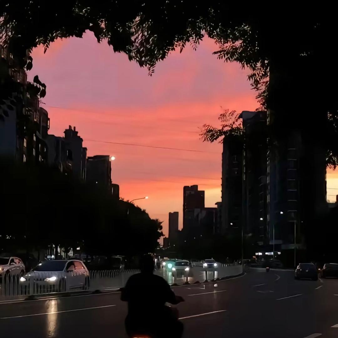 王小强呀