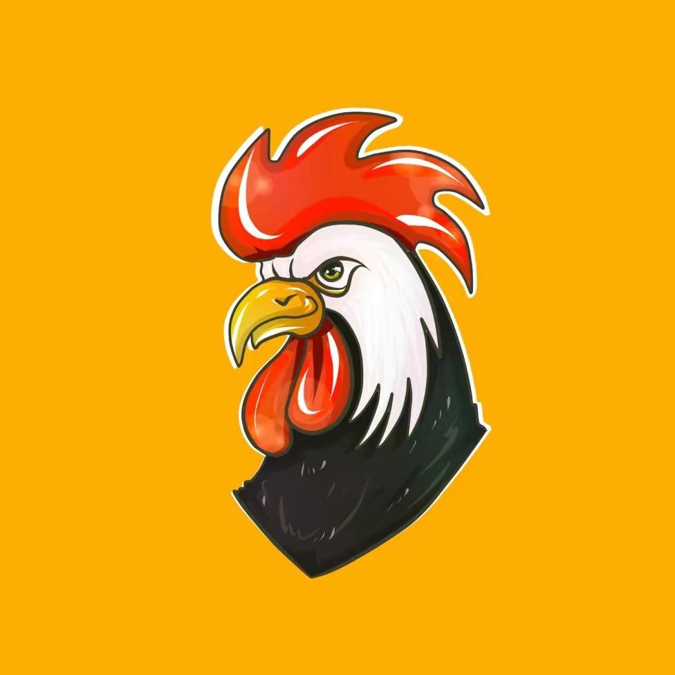 王老师说鸡