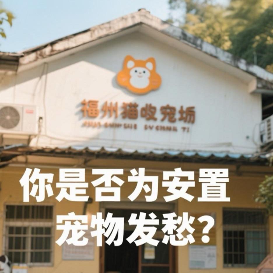 福州猫咪收容所