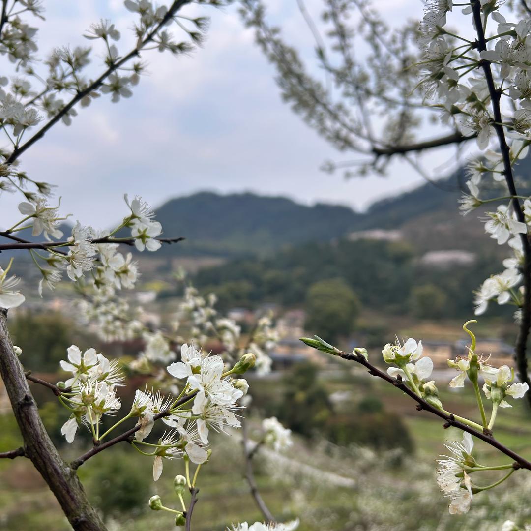 山城零食铺