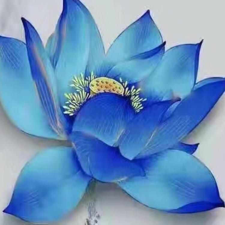 雁飞翔