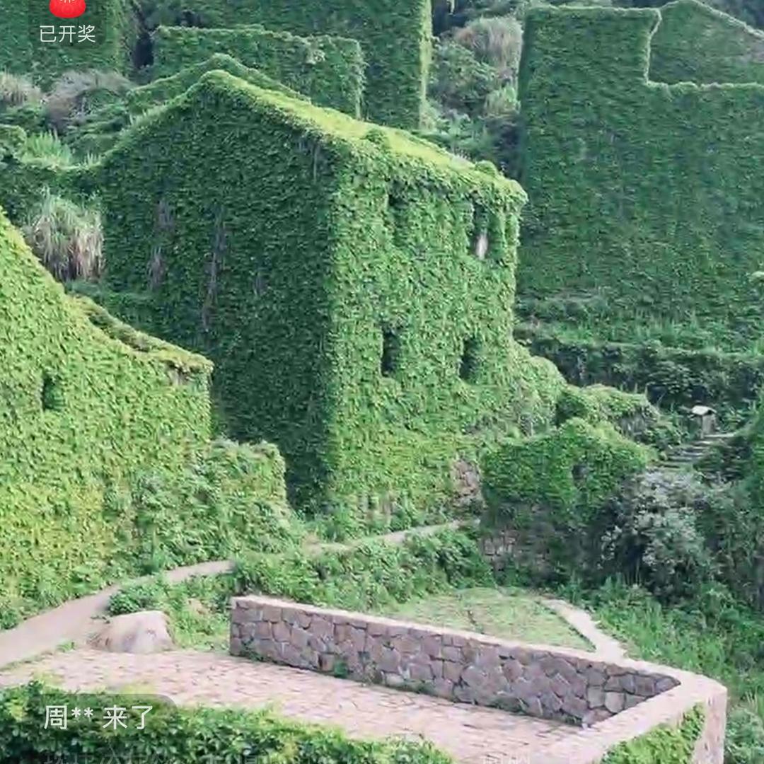 辉煌人生