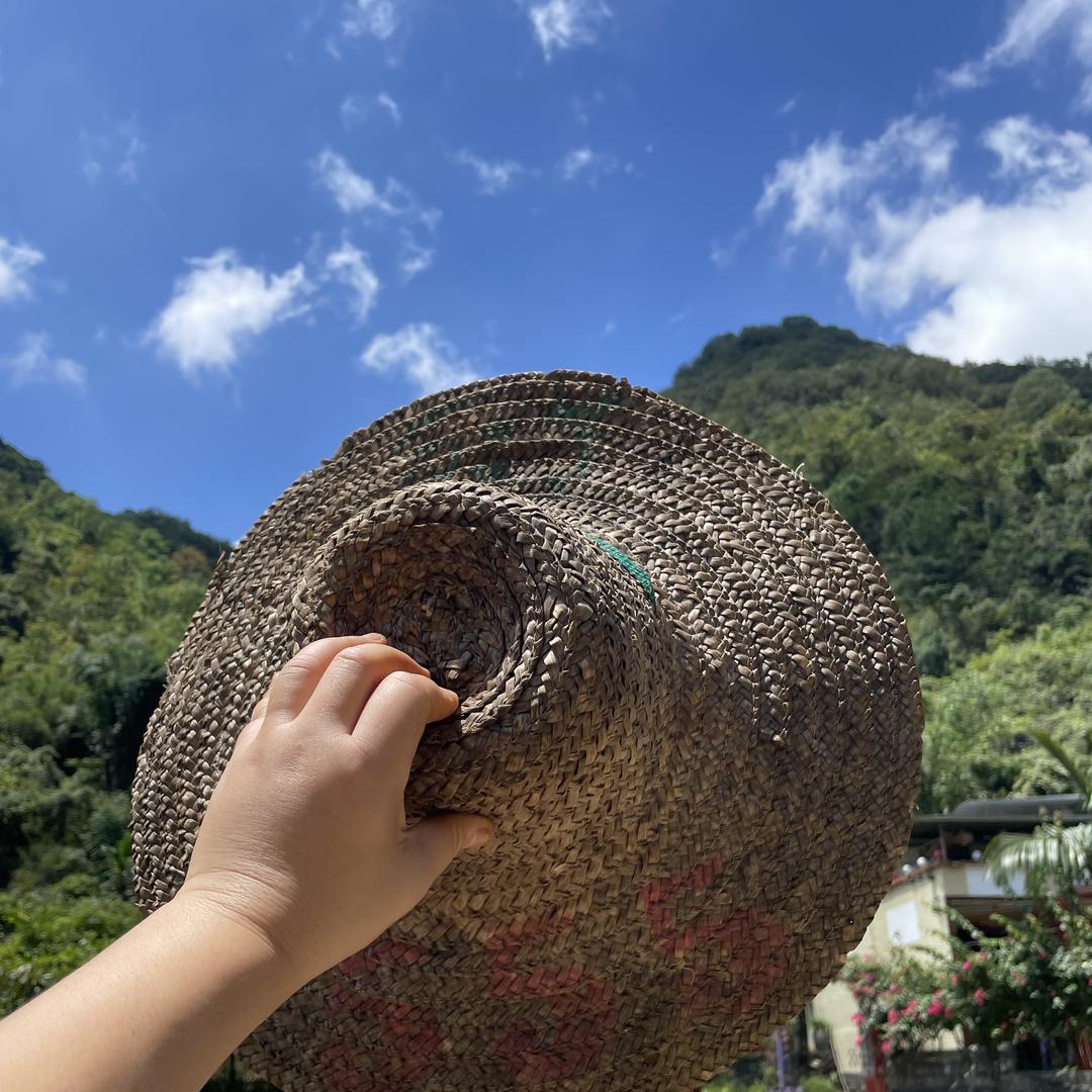潘姐山姜（香姜）