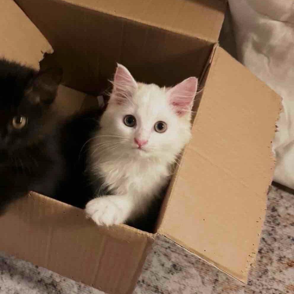 少7一点、（瘦不到90斤不改名）