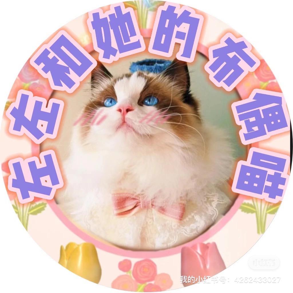 左左家布偶猫
