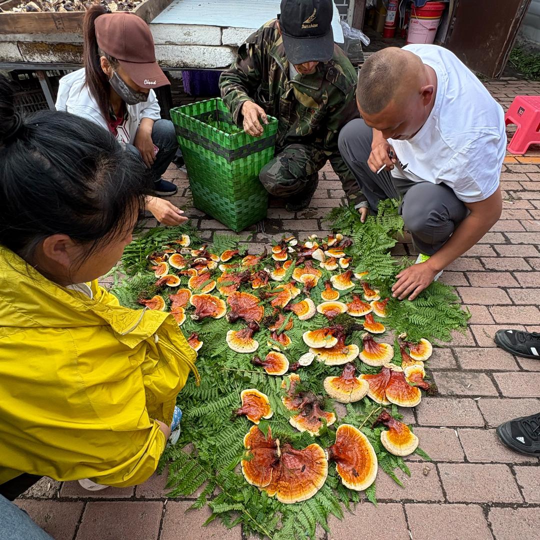 长白山下钱二哥