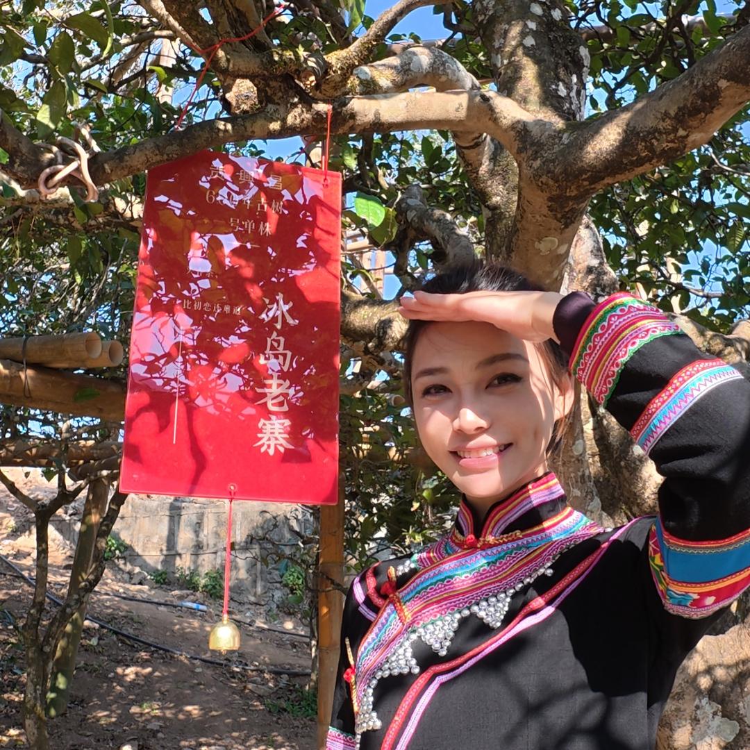 貢興昌冰岛老寨核心