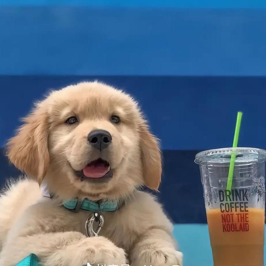 小张的（朋友圈）