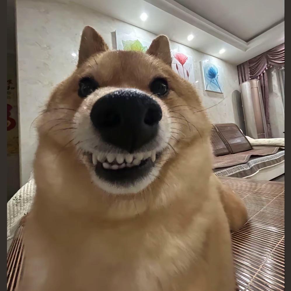 你好 人