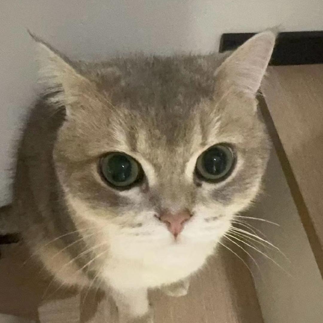 小辣条🌙