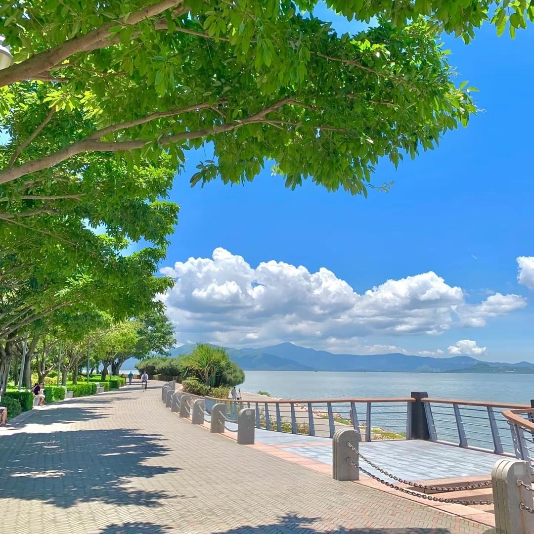 攮魍开开心心直播号