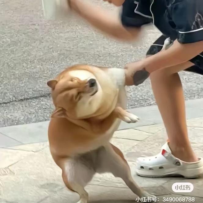 Adjfjwidkdjdjd