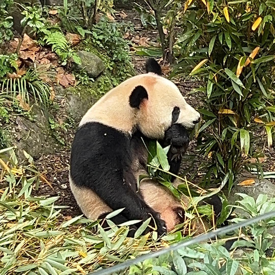 私密账号