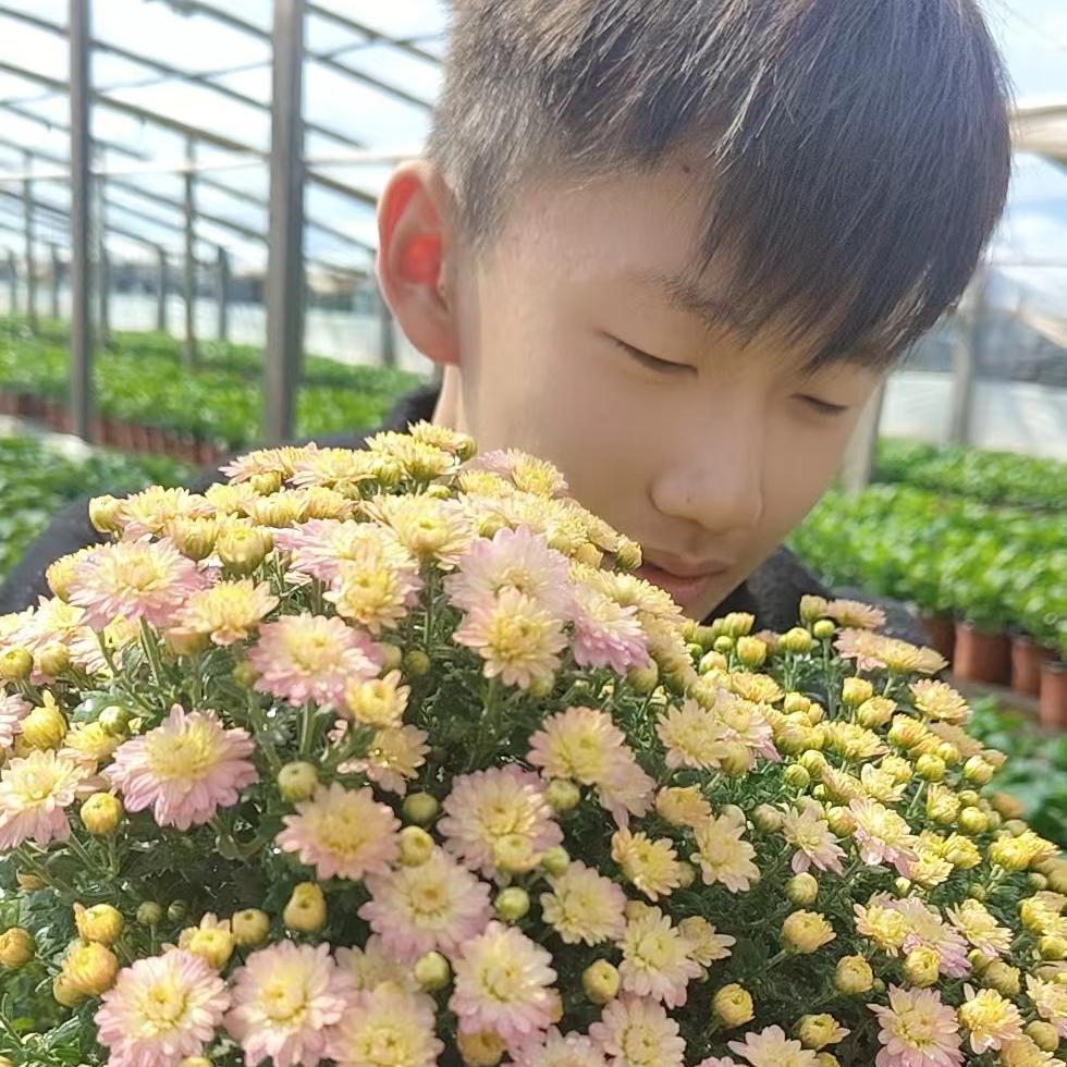 翔艺花卉小铺