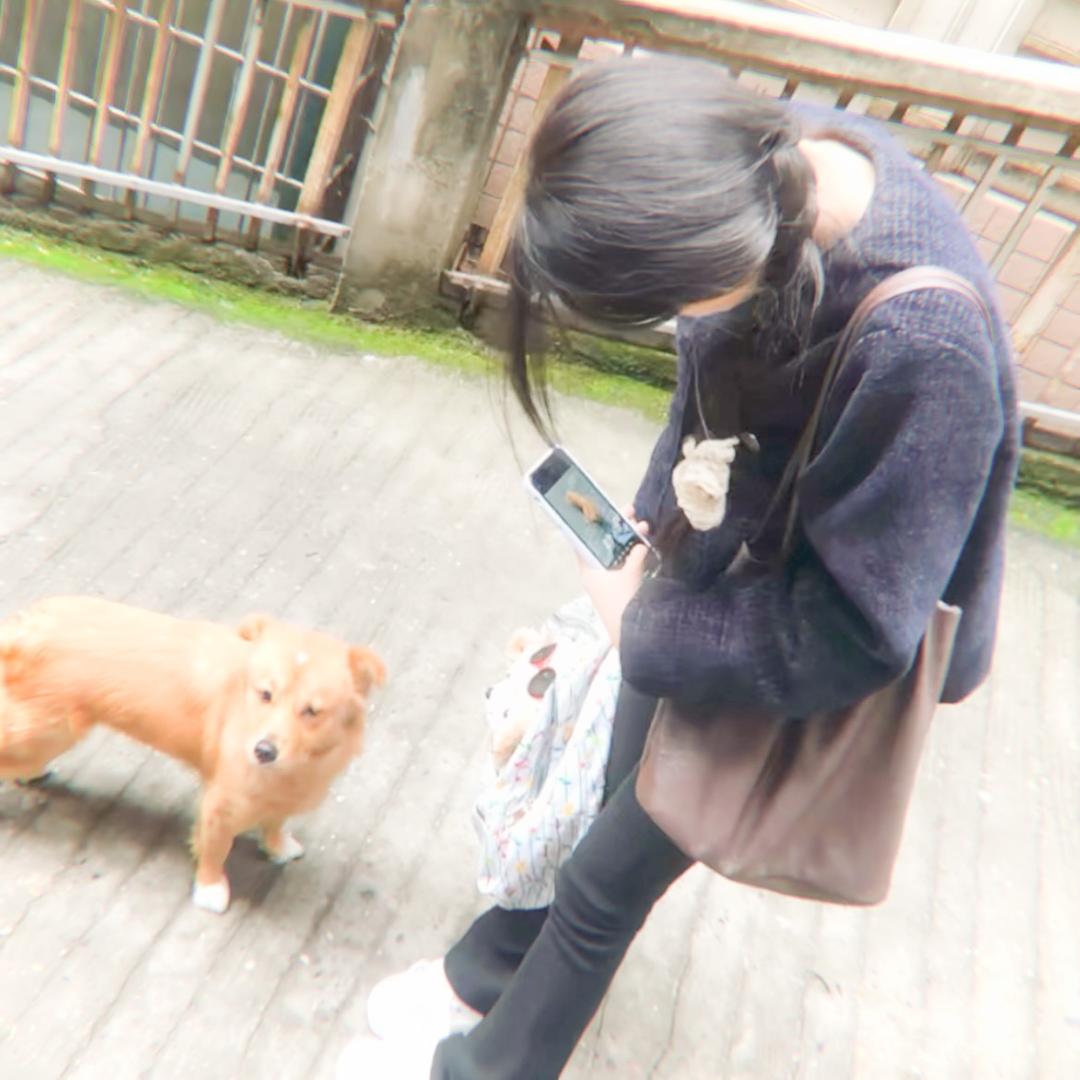 悲鸣音符