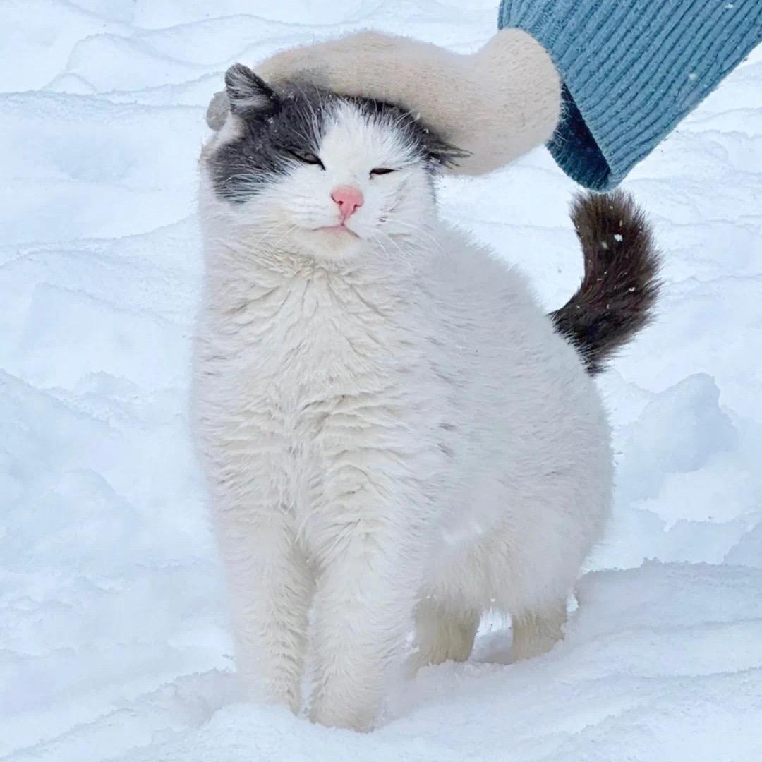 123456